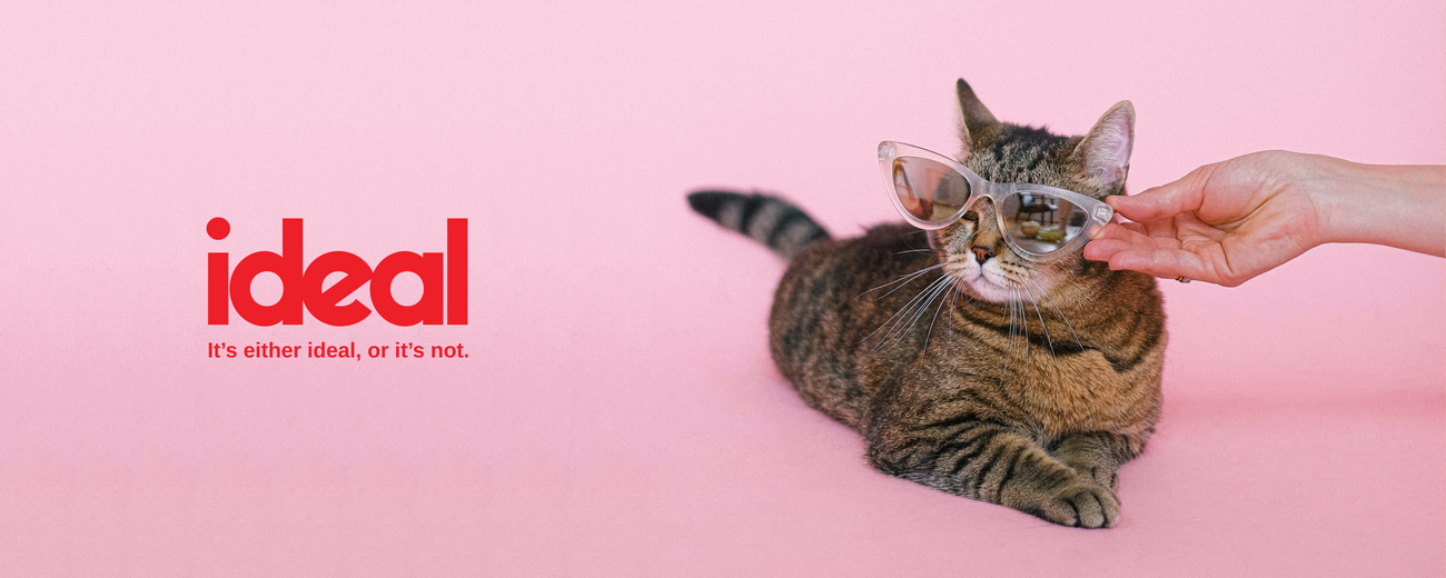 Ideal Cat Food