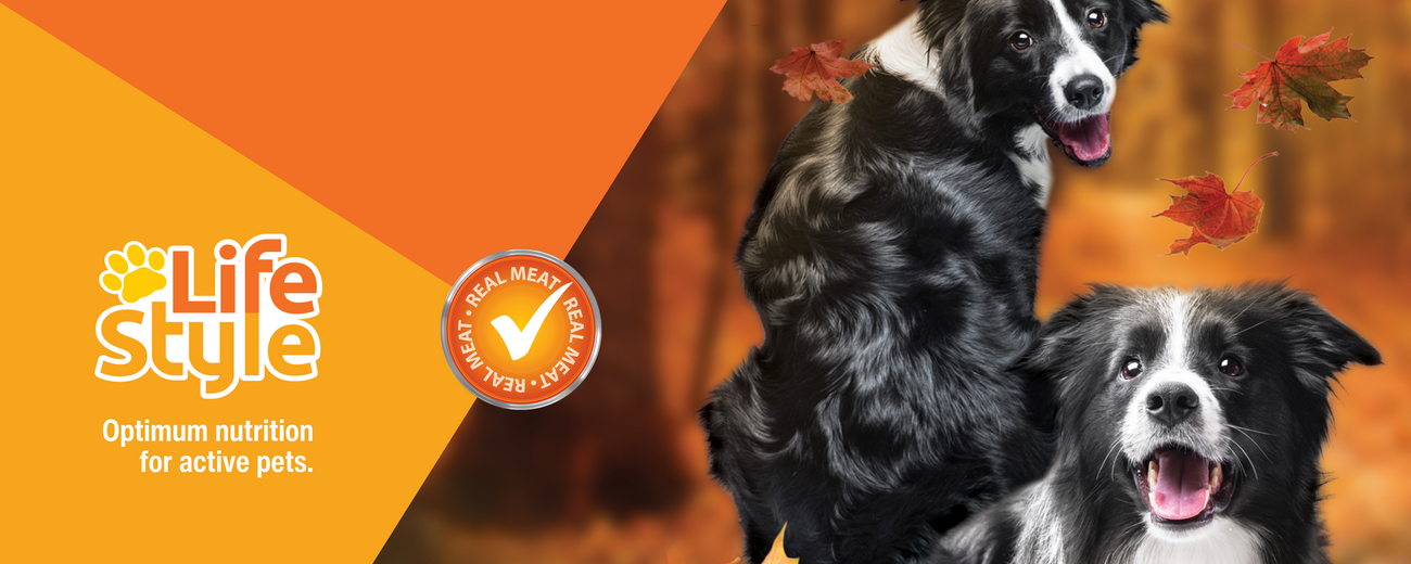LifeStyle Dog Food