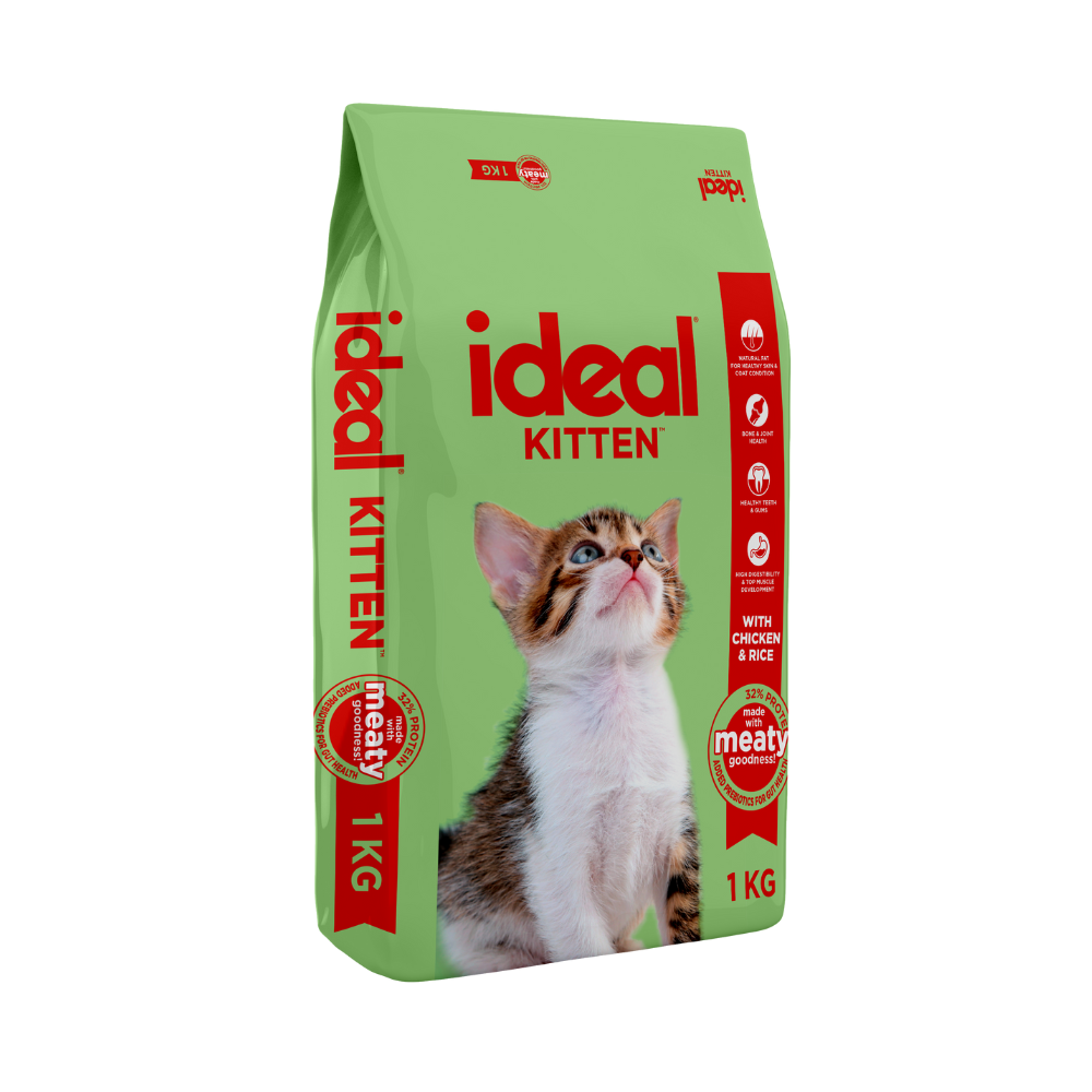 Ideal Kitten Food